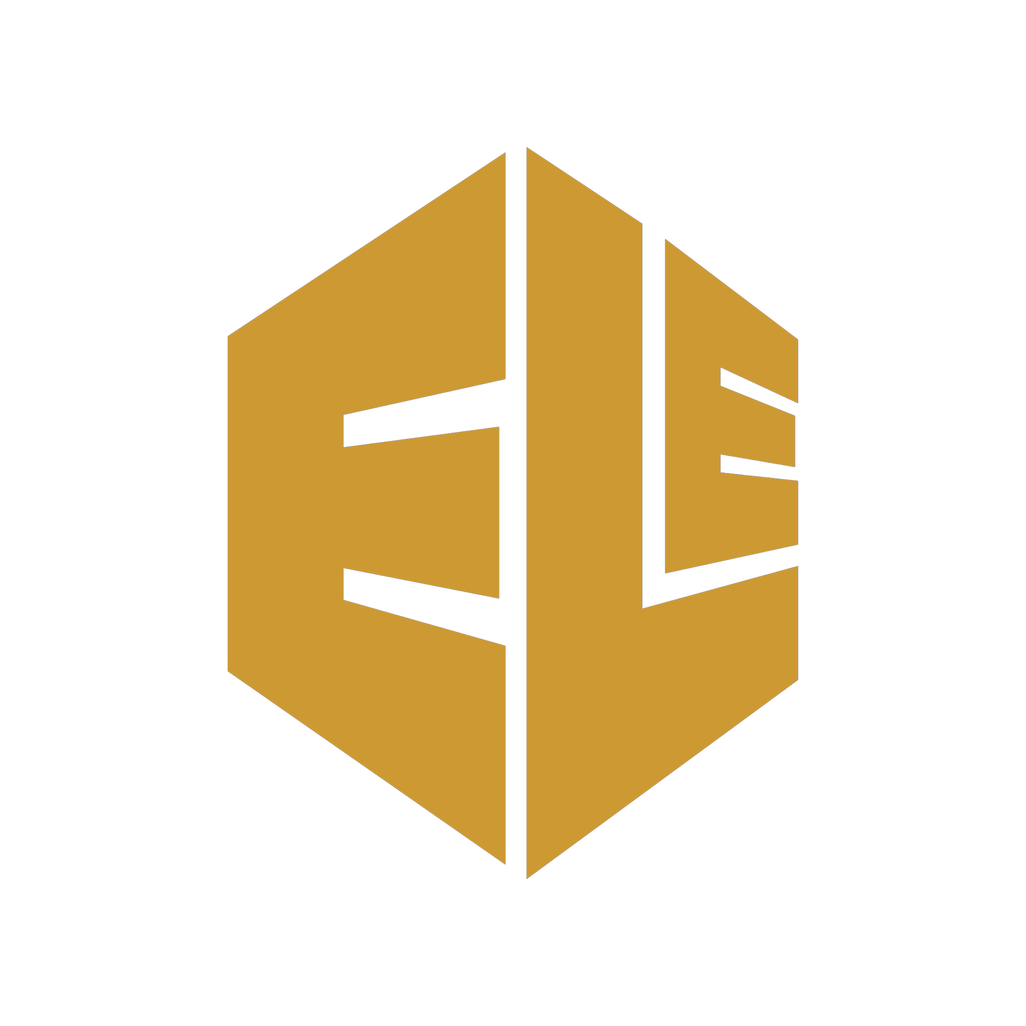 ELE Proyectos